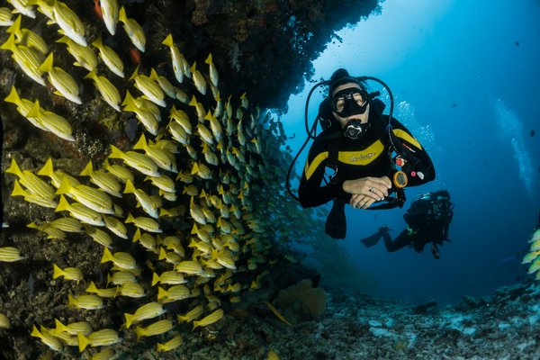 Comment organiser un séjour de plongée sous-marine en Croatie sans guide?