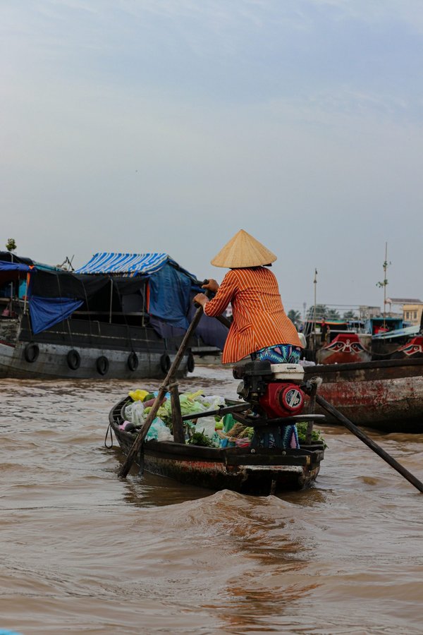 Quelles croisières proposent des excursions pour découvrir les marchés flottants en Birmanie?