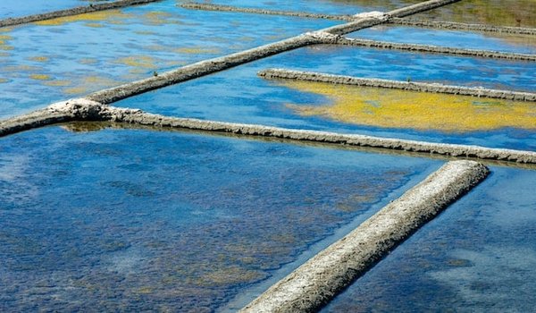 3 idées touristiques originales pour la presqu'île de Guérande